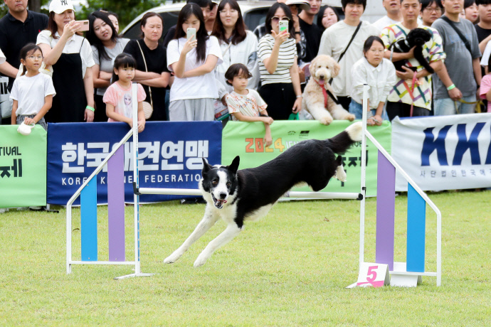 이천펫축제에서 관람객들이 반려동물과 함께 다양한 프로그램을 체험하고 있다. 사진=이천시