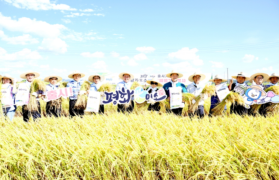 파주시 장단면에서 재배한 남북 교배 품종인 평원벼. 사진=파주시.