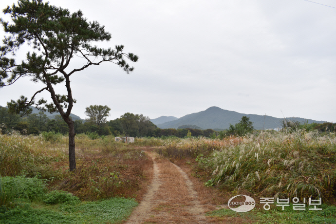 남양주 1번 버스를 타고 도착한 밤섬유원지 풍경. 이성관 기자