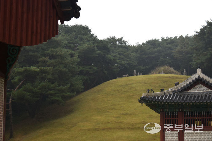 동구릉에서 볼 수 있는 태조 이성계의 건원릉. 이성관 기자