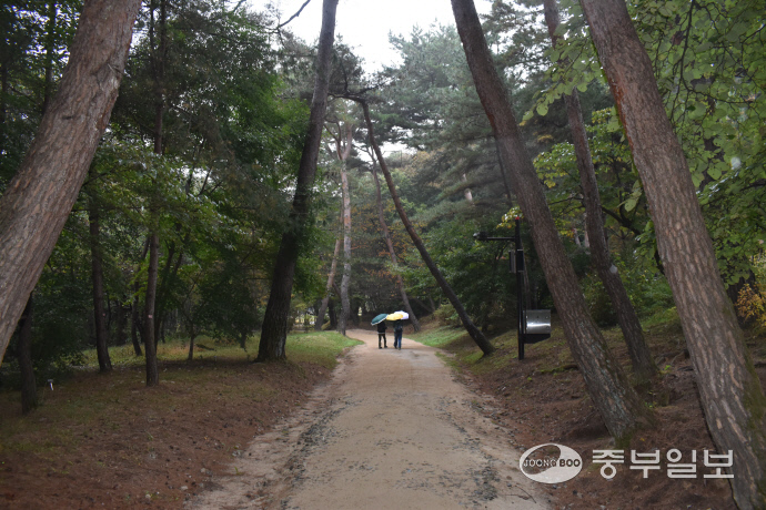 동구릉에 조성된 산책로. 이성관 기자
