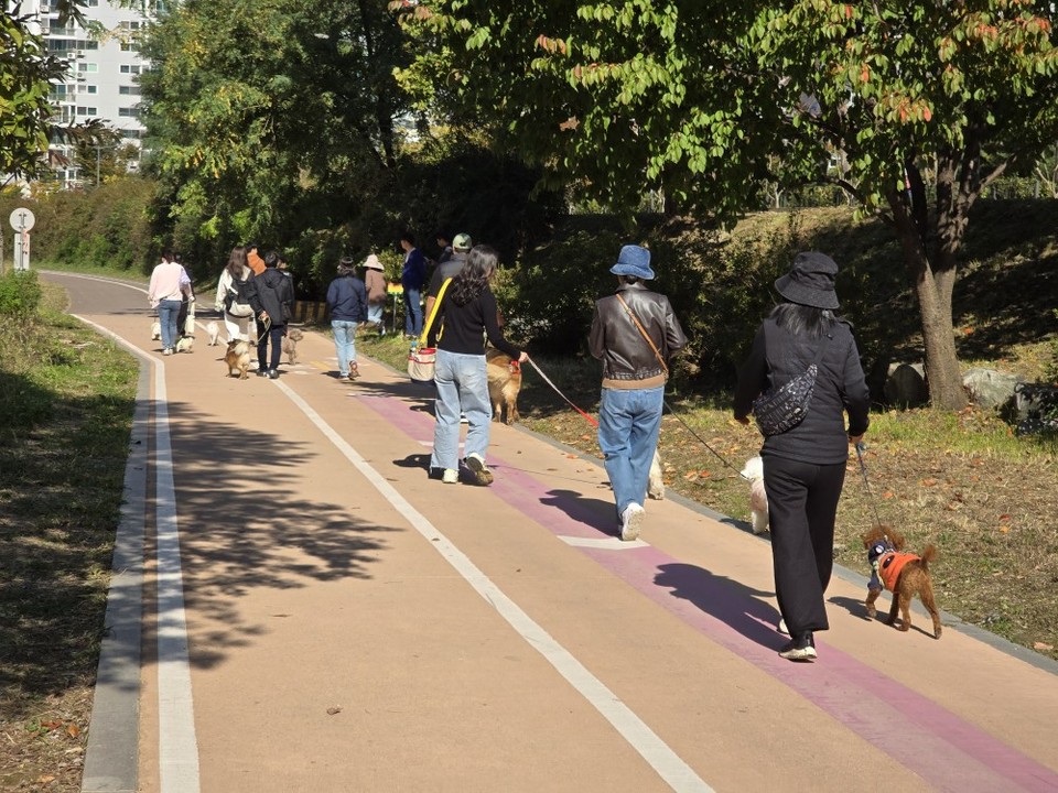 의왕시 포일근린공원에서 반려인들이 반려견과 함께 산책 교육을 받고 있다. 사진=의왕시