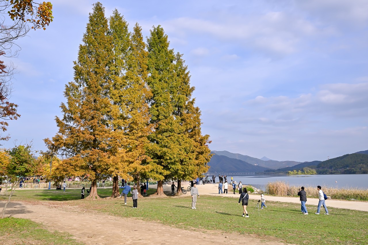 두물머리. 사진=양평군