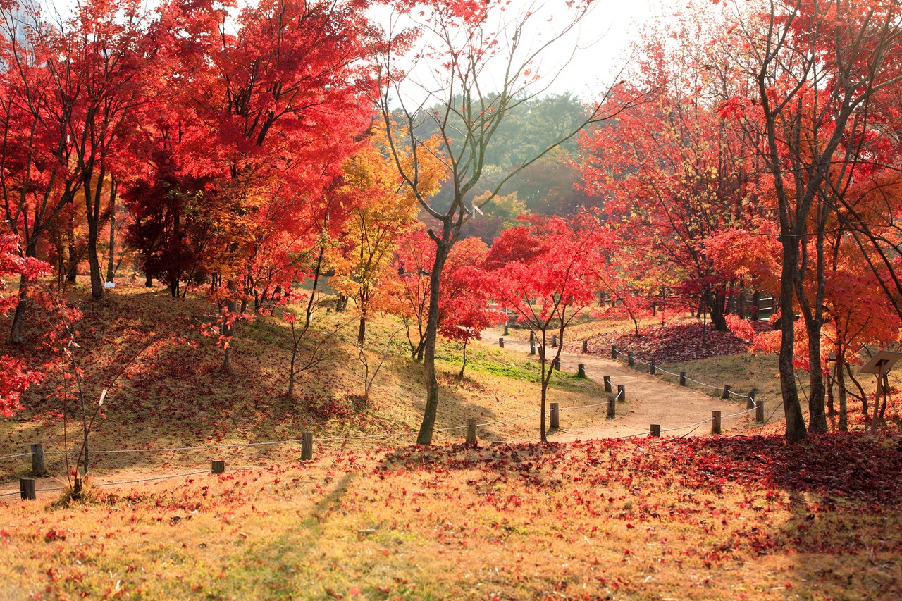 물향기수목원. 사진=오산시
