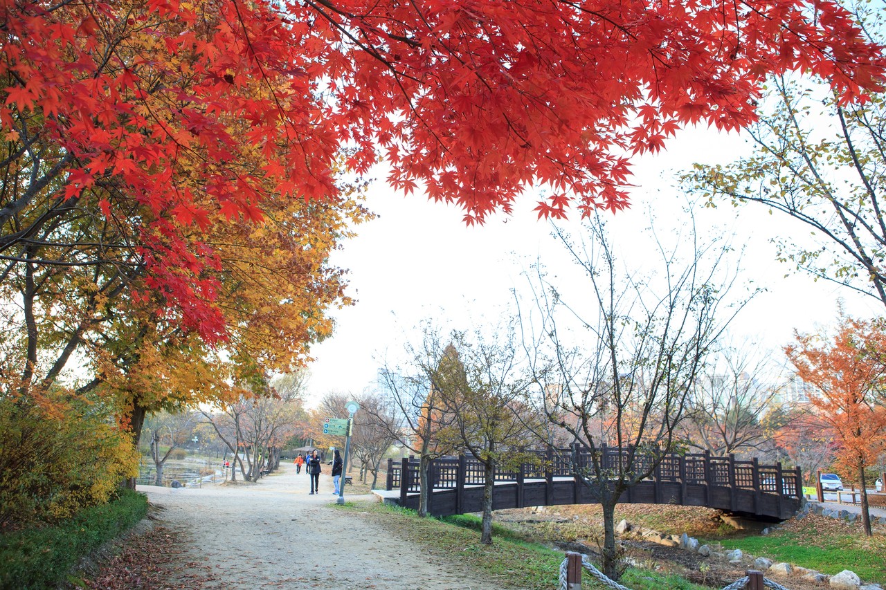 물향기수목원. 사진=오산시