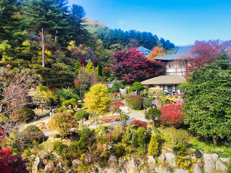 아침고요수목원. 사진=가평군 공식 블로그