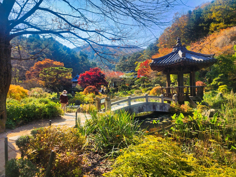 아침고요수목원. 사진=가평군 공식 블로그