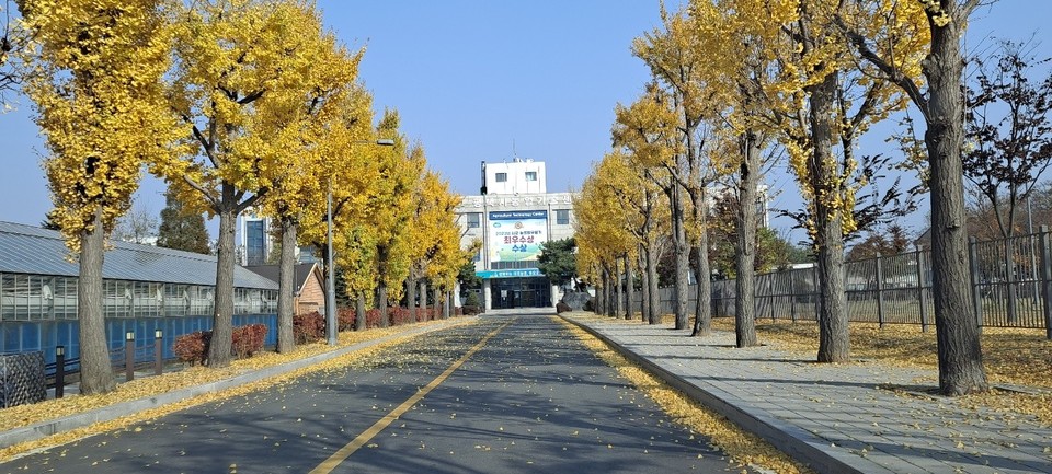 평택시는 2025년 영농자재 지원사업 신청을 오는 11일부터 12월 10일까지 농지 소재지의 읍면동 행정복지센터에서 접수한다고 밝혔다. 사진-평택시