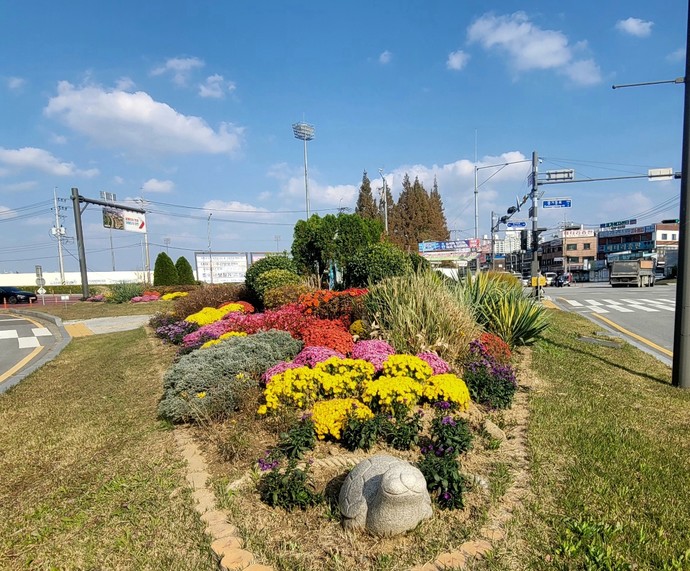오산시는 시민들을 위해 아름다운 가을 정취를 선사하고자 다양한 꽃을 조성했다. 사진=오산시