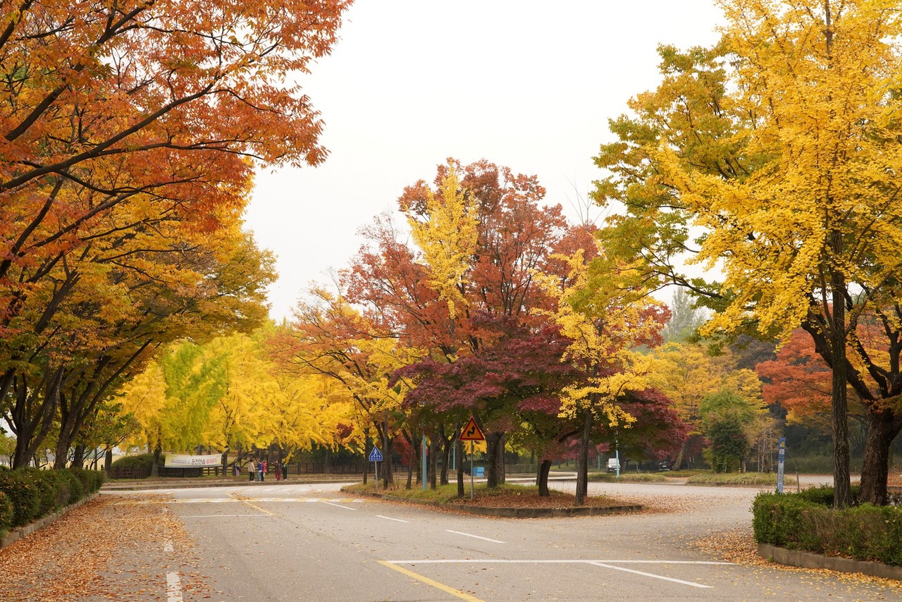 하남 미사경정공원. 사진=하남시