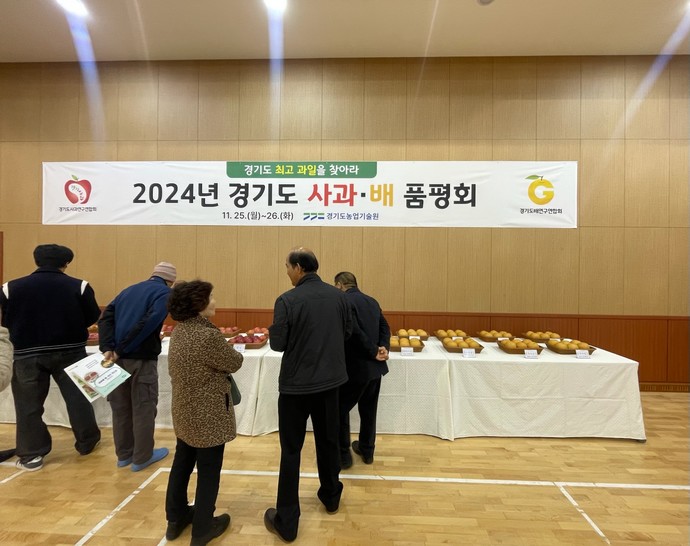 여주시는 11월 28일 경기도농업기술원이 주관한 ‘경기도 사과·배 품평회’에서 우수한 성적을 거뒀다. 사진=여주시
