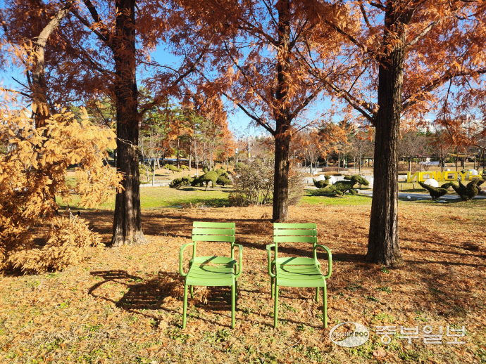 수원 인계동 효원공원 내 은행나무 아래 의자 두 개가 놓여 있다. 사진=이보현 기자