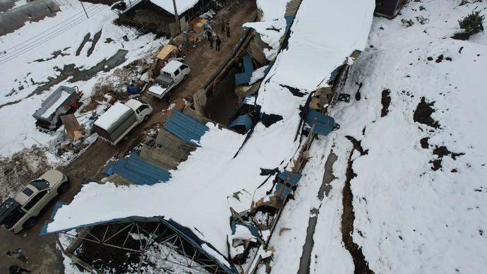 기록적인 폭설이 내리면서 그 무게에 견디지 못하고 무너져 버린 축사의 모습. 사진=여주시
