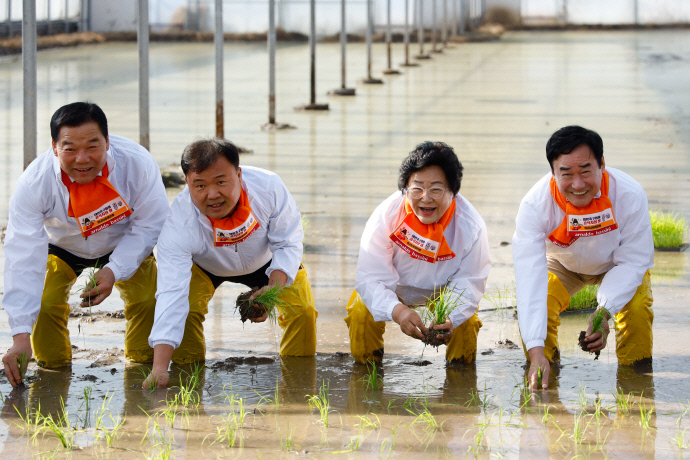이천쌀, 전국 첫 모내기