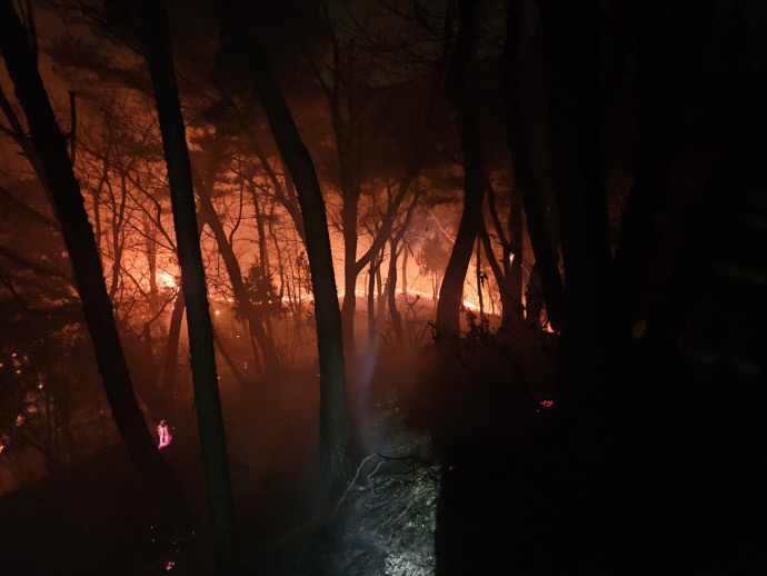15일 오전 양주시 백석읍 불곡산에서 불이 나고 있다. 사진=경기도소방재난본부