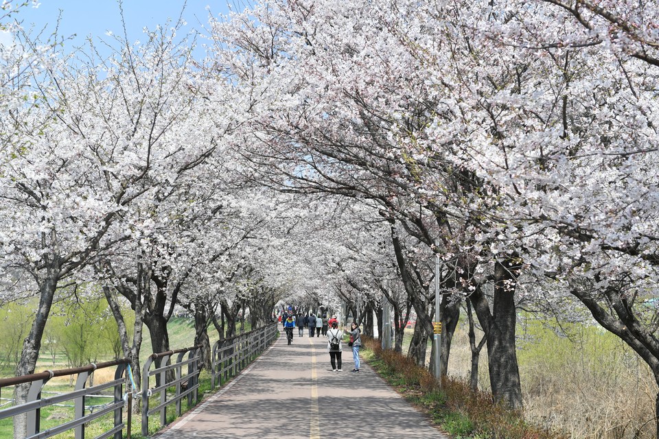 양평군은 오는 6일까지 양평생활체육공원에서 제46주년 양평읍민의 날 기념식과 제8회 갈산누리봄축제를 개최한다. 사진=양평군