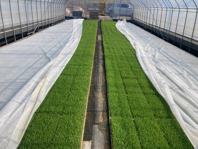 여주시는 전기안전점검 지원사업을 적극 홍보하고 있다. 사진= 여주시