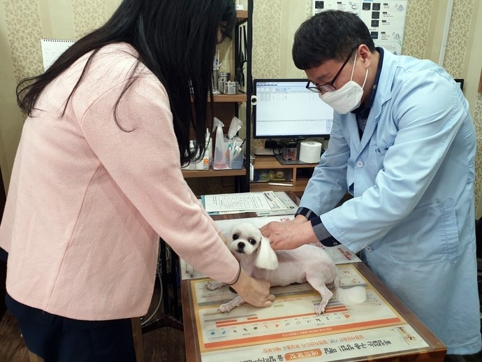 의정부시는 반려견 대상 광견병 예방접종 지원사업을 실시한다. 사진=의정부시청