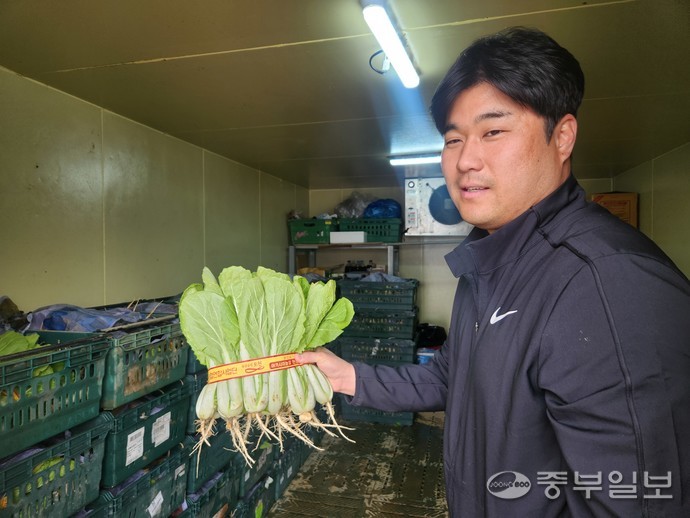 안세경 씨가 자신이 재배한 얼갈이를 설명하고 있다. 이보현 기자