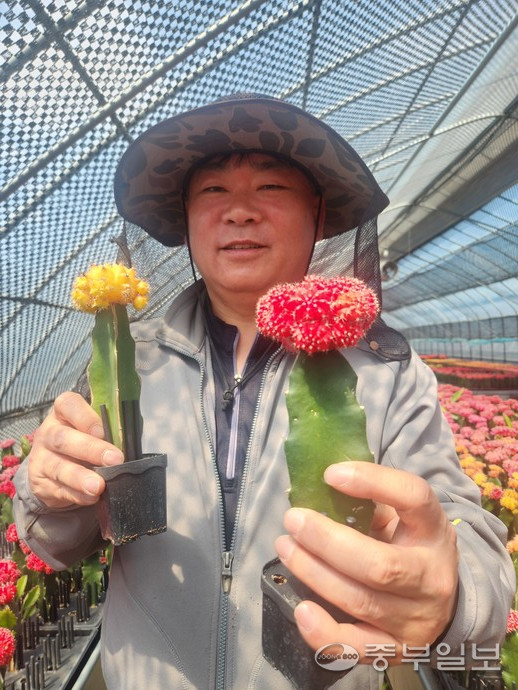 접목선인장 재배농가 이재규 씨. 이보현 기자