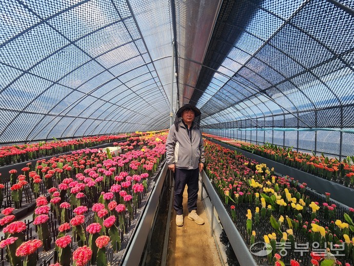 이재규 씨가 본인이 재배하는 접목선인장 사이에서 포즈를 취하고 있다. 이보현 기자