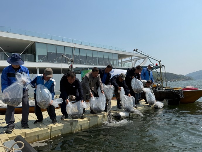 가평군이 지난 25일 북한강에서 뱀장어 1만7천여마리 방류하고 있다. 사진=가평군