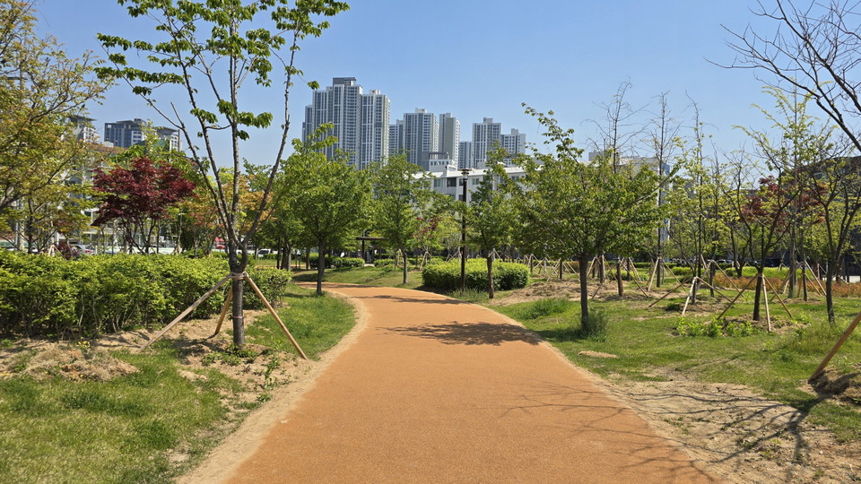 시흥시는 탄소중립 실현을 위한 친환경 노력의 하나로 신천근린공원 내 기존 경화 마사토 산책로를 철거하고, 나무껍질에서 추출된 자연 친화적 소재인 코르크 포장재로 새롭게 단장했다. 사진=시흥시
