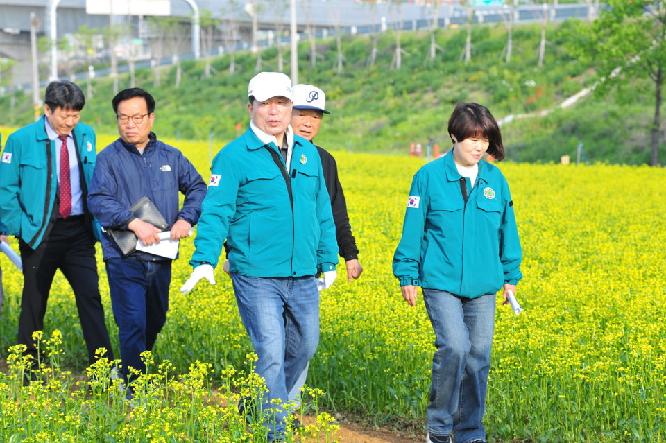 백경현 구리시장은 지난 7일 ‘2025 구리 유채꽃 축제’ 행사 장소인 구리한강시민공원을 찾아 축제 준비 상황을 최종 점검했다. 사진=구리시