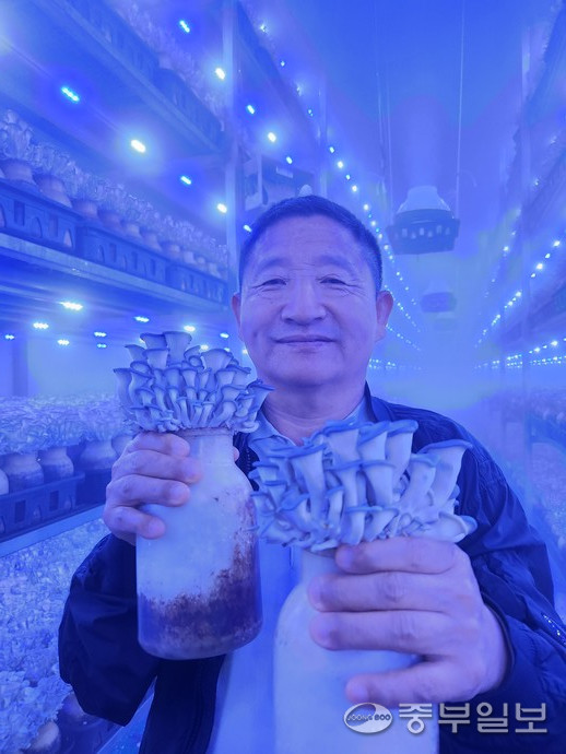 김유철 금단농산 대표가 본인이 재배한 느타리를 들고 포즈를 취하고 있다. 이보현 기자