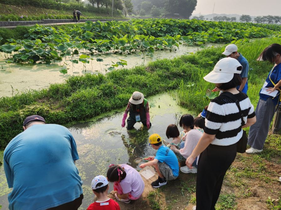 시흥시는 수도권 도심 속 최고의 생태 관광자원인 ‘호조벌-연꽃테마파크-갯골생태공원-물왕호수’ 일대를 관광 명소로 육성하고자, 이달부터 10월까지 다양한 체험형 프로그램을 운영한다. 사진=시흥시