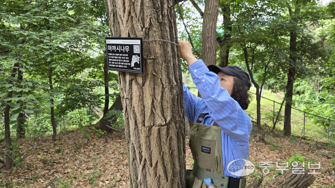 10일 오전 의정부 추동숲정원에서 한 시민이 수목 표찰을 달고 있다. 사진=박홍기기자