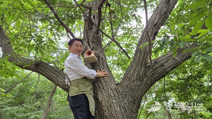 김동근 의정부시장이 10일 오전 의정부 추동숲정원에서 직접 새집을 달고 있다. 사진=박홍기기자