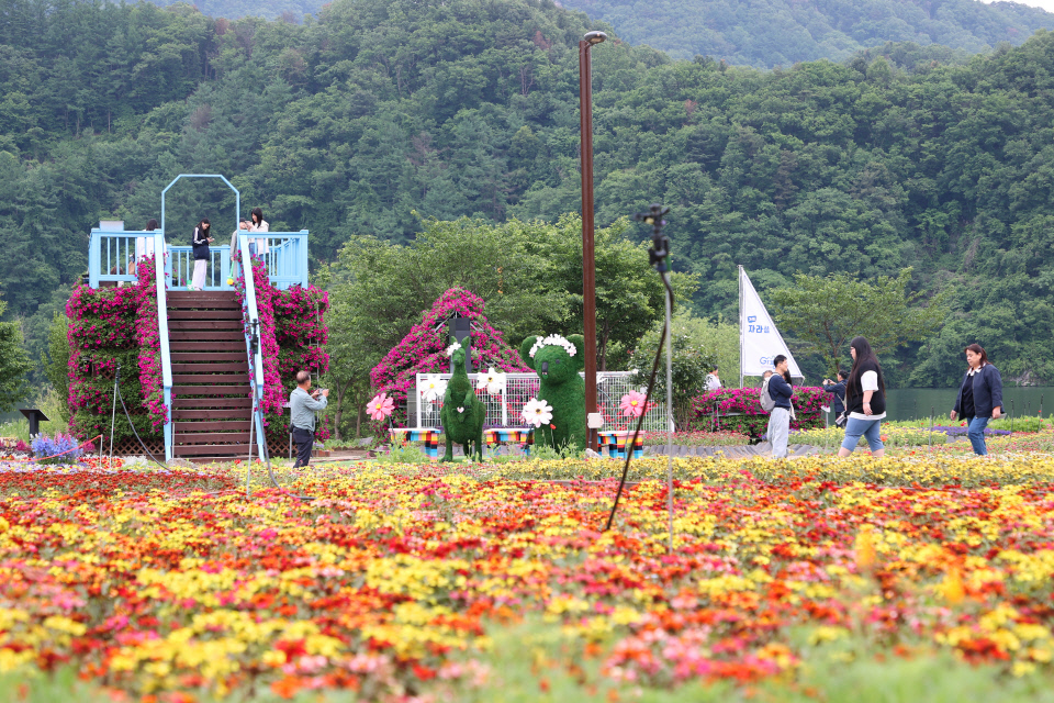 지난달 27일 개막한 2025 자라섬 봄꽃 페스타. 오는 15일까지 자라섬 남도 일원에서 23일간 일정으로 진행된다. 사진=가평군