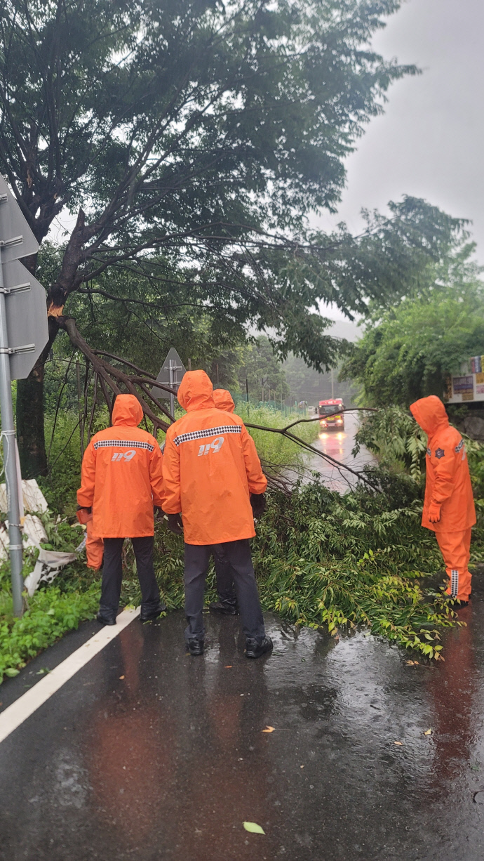 6시 48분께 양주시 장흥면에서 나뭇가지가 부러져 소방당국이 안전 조치를 하고 있다. 사진=경기도북부소방재난본부
