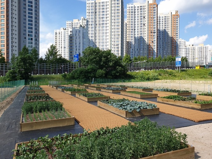 의정부시(시장 김동근)가 시민들이 오감으로 즐길 수 있는 ‘민락(民樂) 치유(힐링) 텃밭정원’을 개방한다.사진=의정부시청