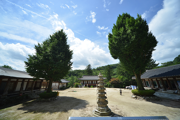 대웅전에서 바라본 묘적사 경내. 주수완