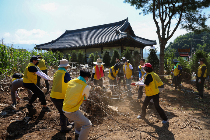 중부지방국세청과 남양주세무서 직원들이 지난 12일 가평군 조종면을 찾아 집중호우로 붕괴된 포도밭에서 폐기물을 수거하는 자원봉사를 하고 있다. 사진=중부지방국세청