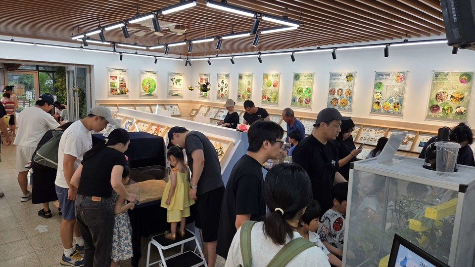 구리시 곤충생태관 과학곤충 체험전에 참여하고 있는 시민들의 모습. 사진=구리시