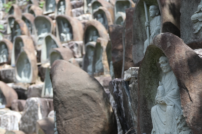 오백나한. 박찬희