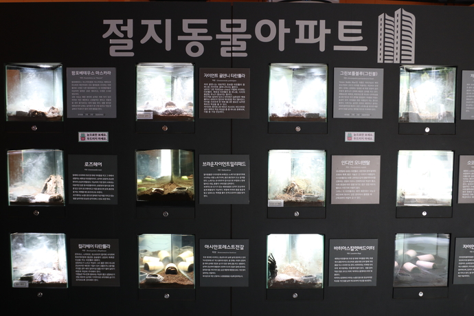 충식이의 곤충체험관. 박찬희