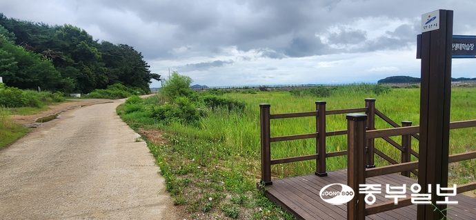 대부도 경기창작센터 인근 선감자연생태학습장. 신연경기자