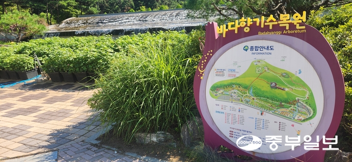 바다향기수목원 동문에 들어서면 보이는 벽천. 신연경기자