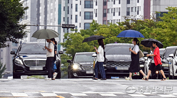 수원시청 인근에서 시민들이 우산을 쓰고 횡단보도를 건너고 있다. 임채운기자