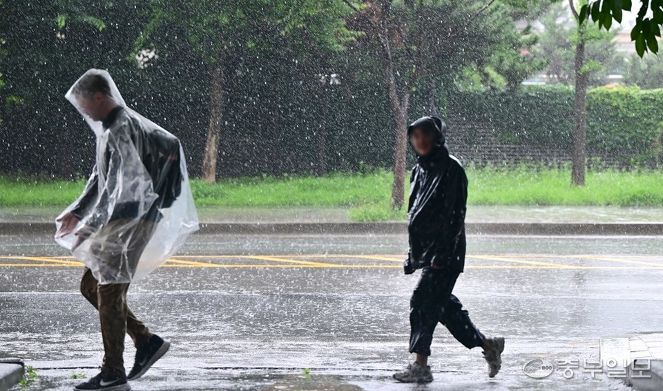 사람들이 우비를 입고 걷고 있다. 정선식기자
