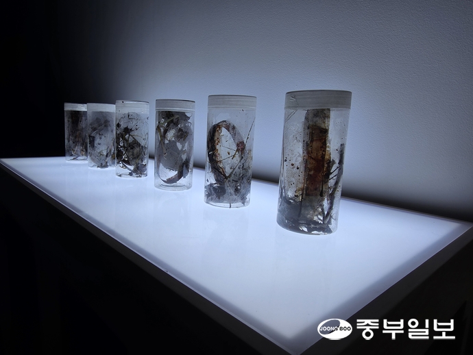 이장욱 감독의 ‘창경’과 함께 전시된 부식 중인 나뭇잎과 필름들. 이준도기자