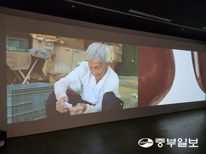 설수안 감독의 ‘씨갑시’ 중. 이준도기자