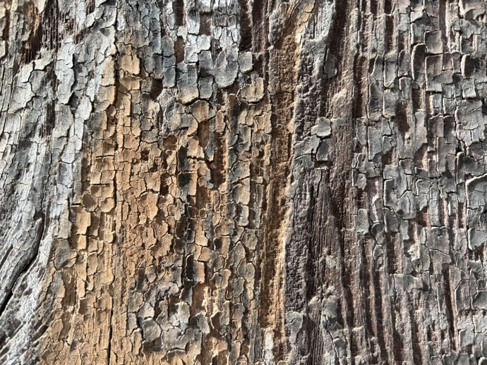 나무판 위에 흙을 바르고 채색을 올린 판벽화 세부. 사진=김지영