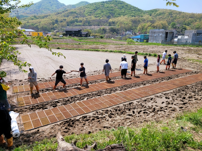 지난 4월 산마을고 학생들이 수업의 일환으로 모내기 중 모판을 옮기고 있다. 사진=산마을고등학교