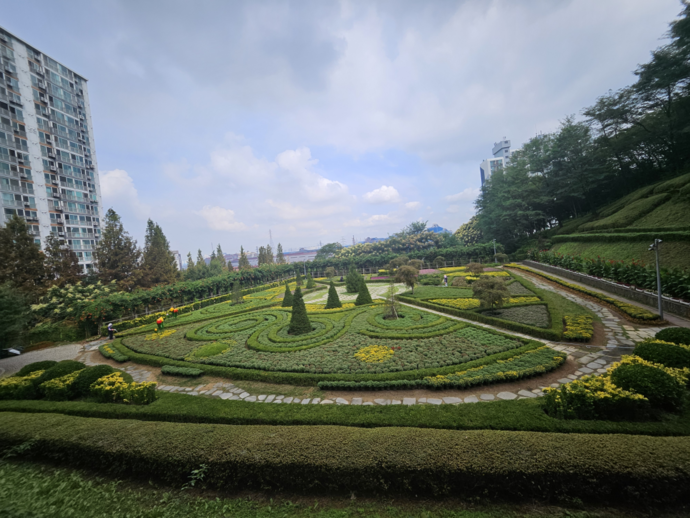인천 동구청이 최근 송현근린공원에 식재한 국화꽃의 모습. 사진=동구청