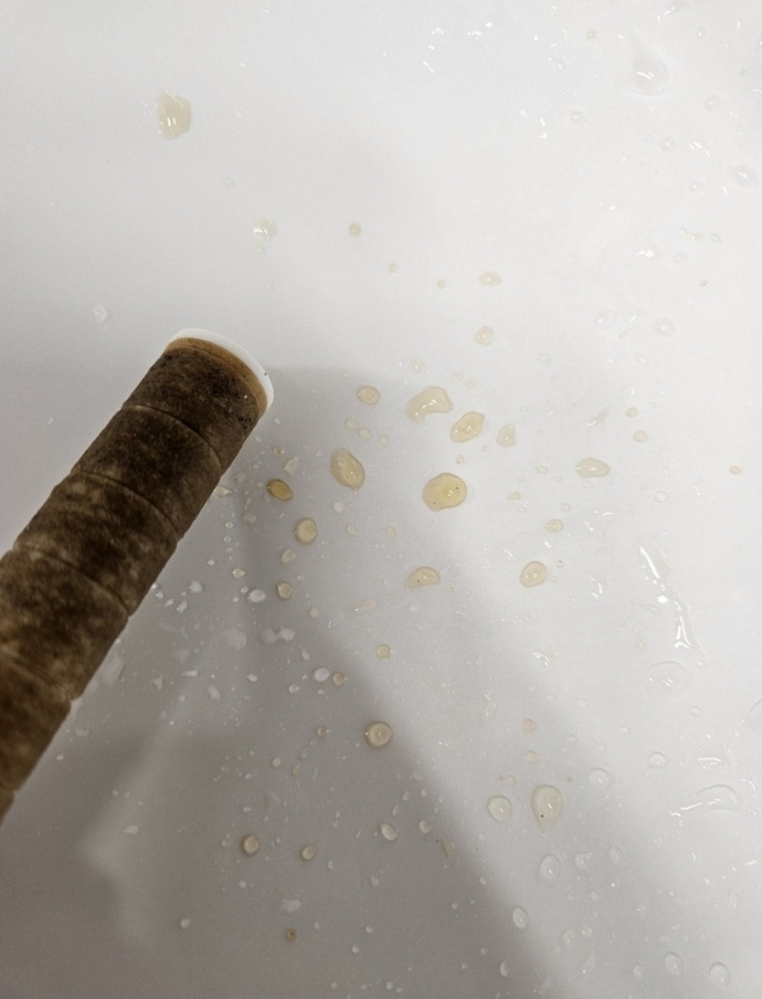 새것으로 교체한지 하루도 되지 않아 갈색으로 변해버린 샤워기 필터에서 노란 물이 떨어지고 있다. 사진=광주시맘카페